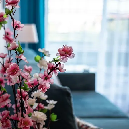 Apartman Nadmorskie Patio Jastrzębia Góra